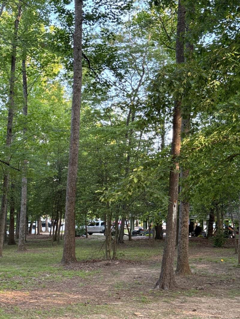 walking near me in Lake Julian Park in summer