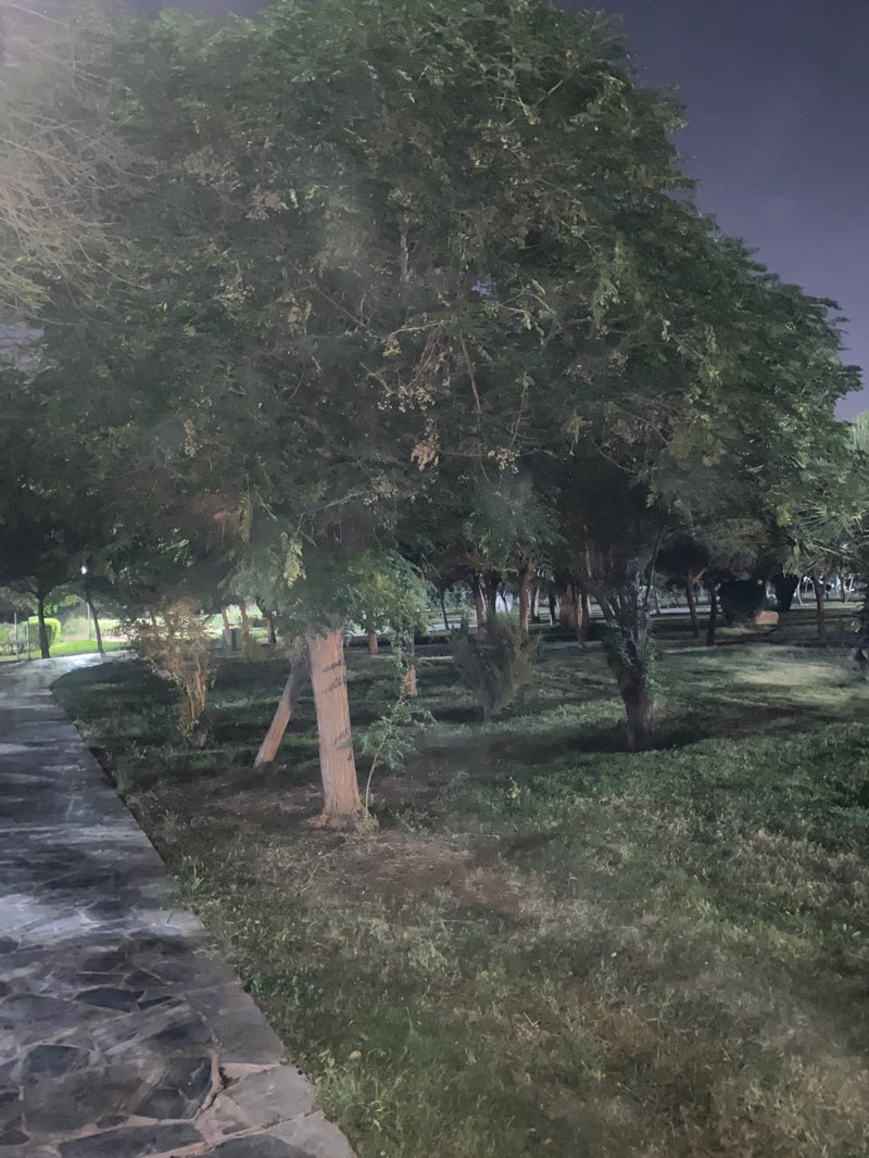 walking near me in Shanadar Park in autumn