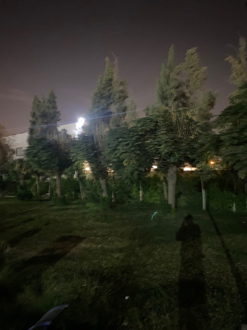 walking near me in Shanadar Park in autumn