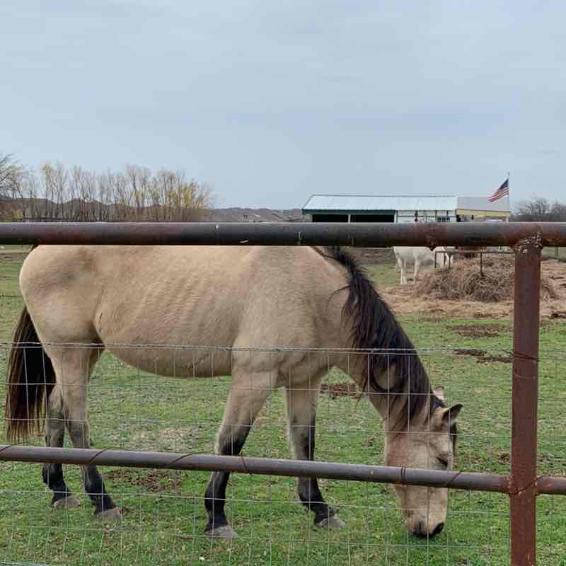 Devenderreddy🇮🇳🇮🇳 post 1
