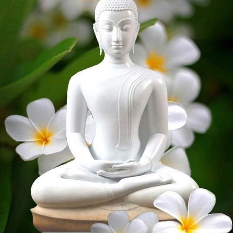 Devenderreddy🇮🇳🇮🇳 post 1