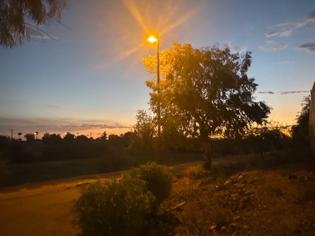 walking near me in Thunderbird Paseo Park in autumn