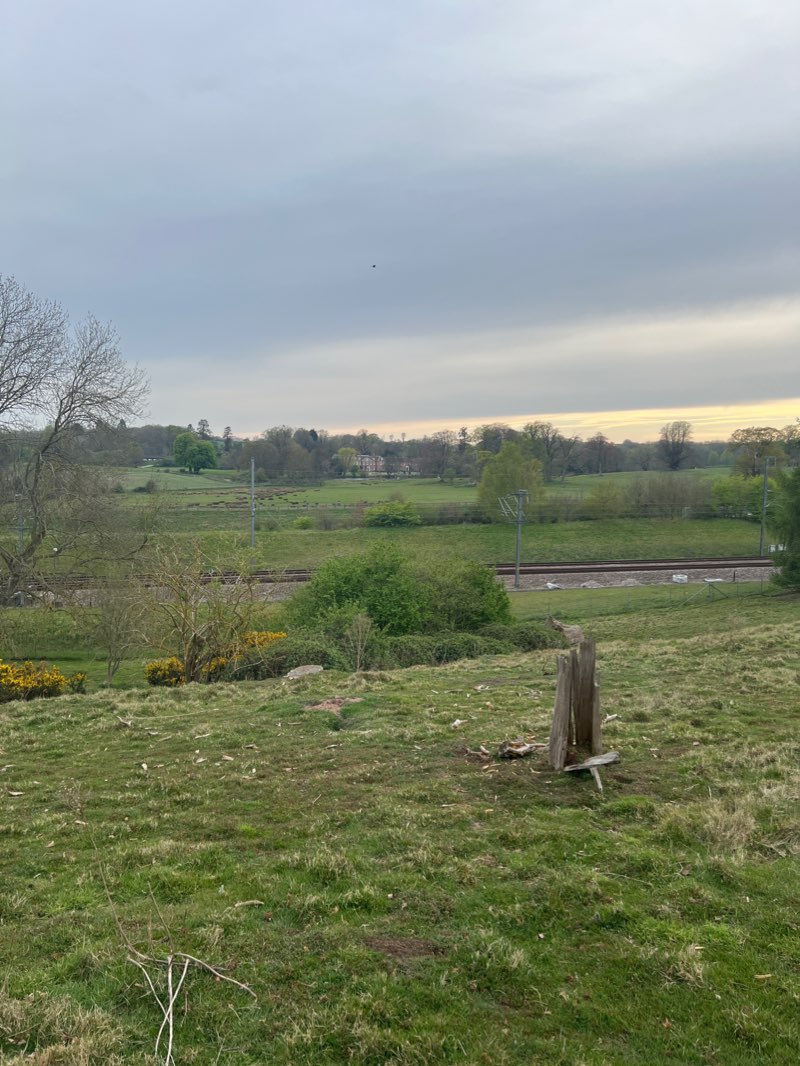 walking near me in Chilston Pines and Ponds in winter