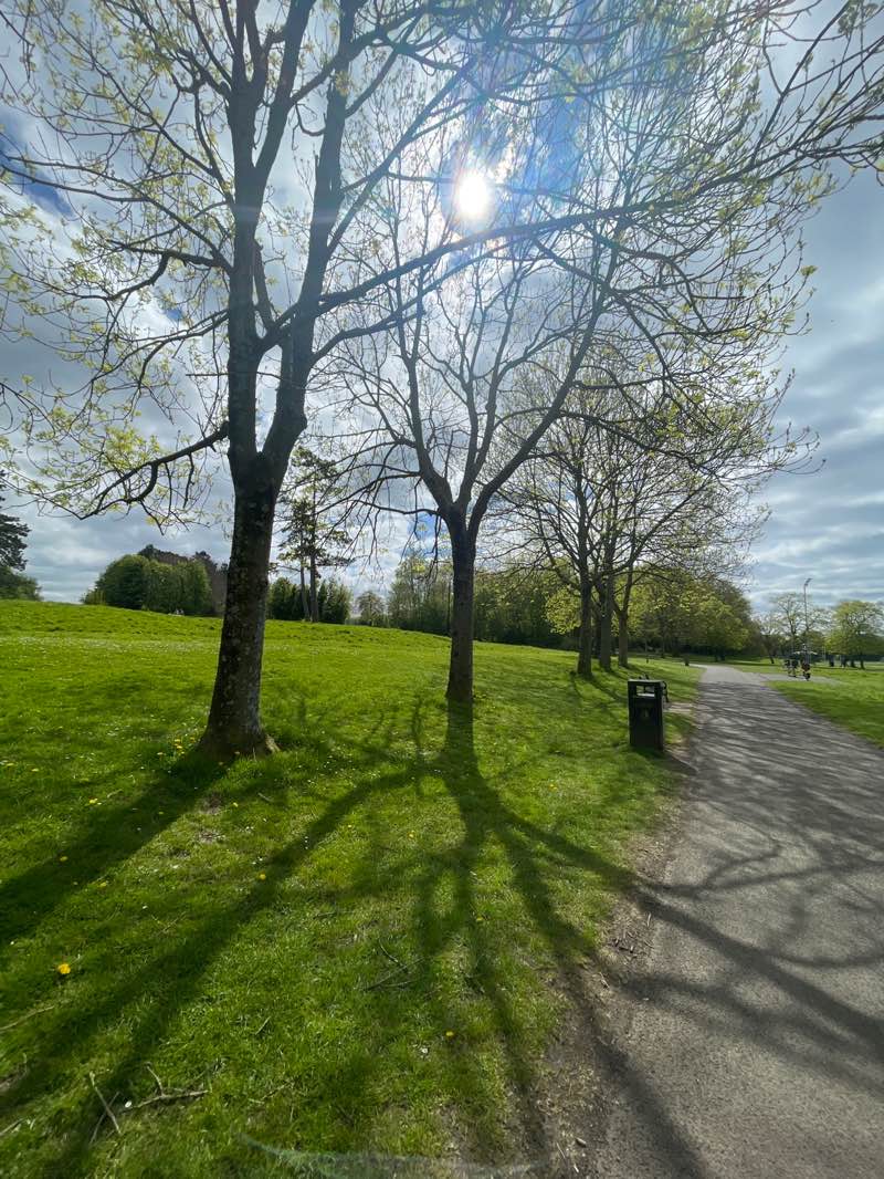 walking near me in Ormeau Park in spring