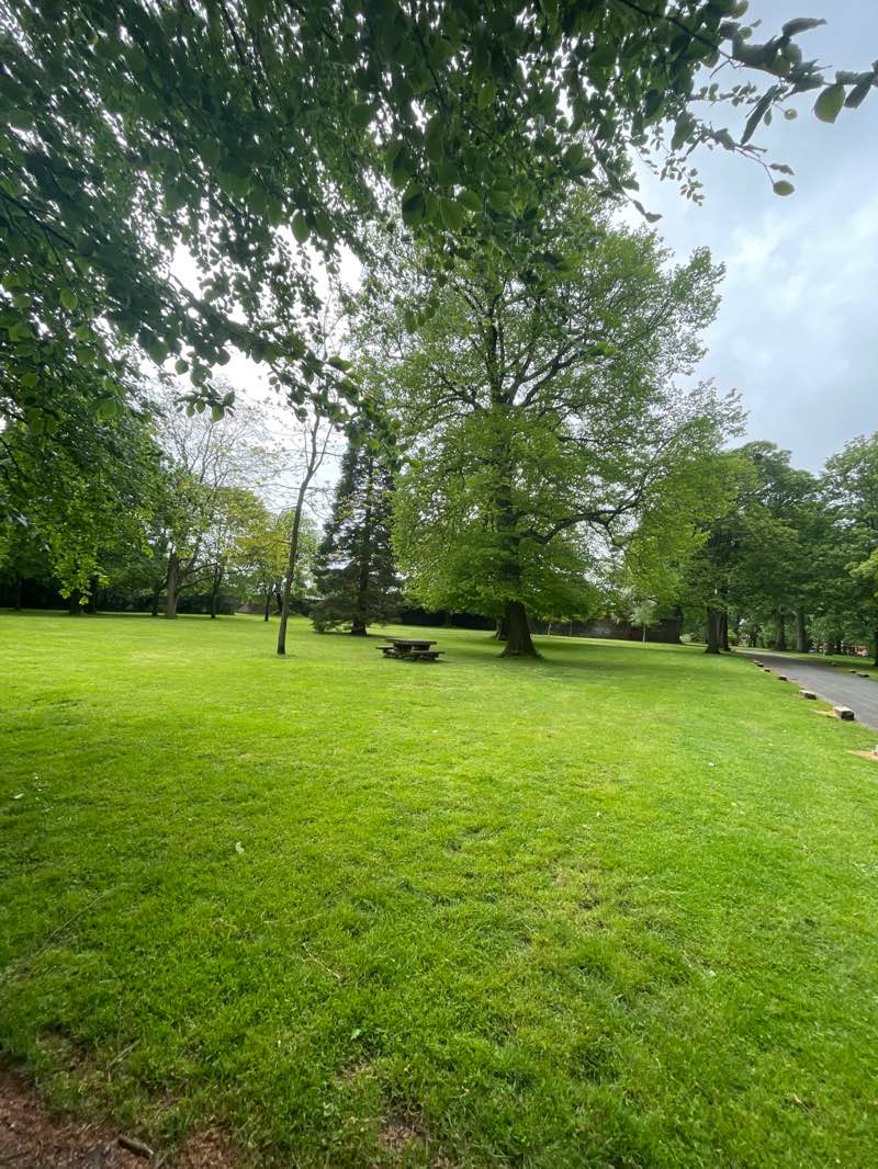 walking near me in Ormeau Park in summer
