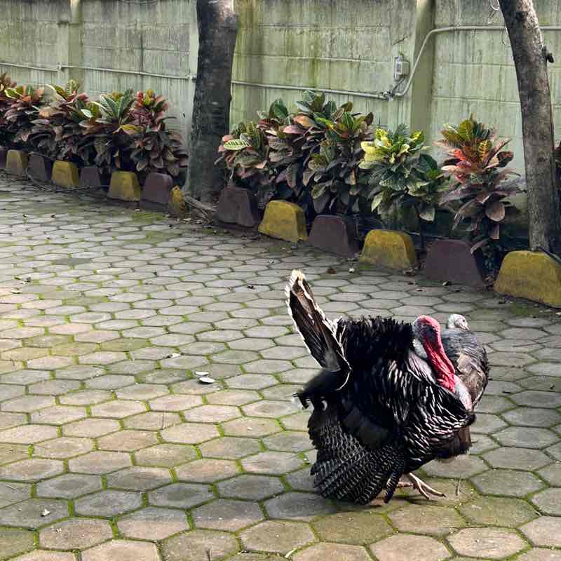 Friends of Jagadeesh Amirtharaj post image