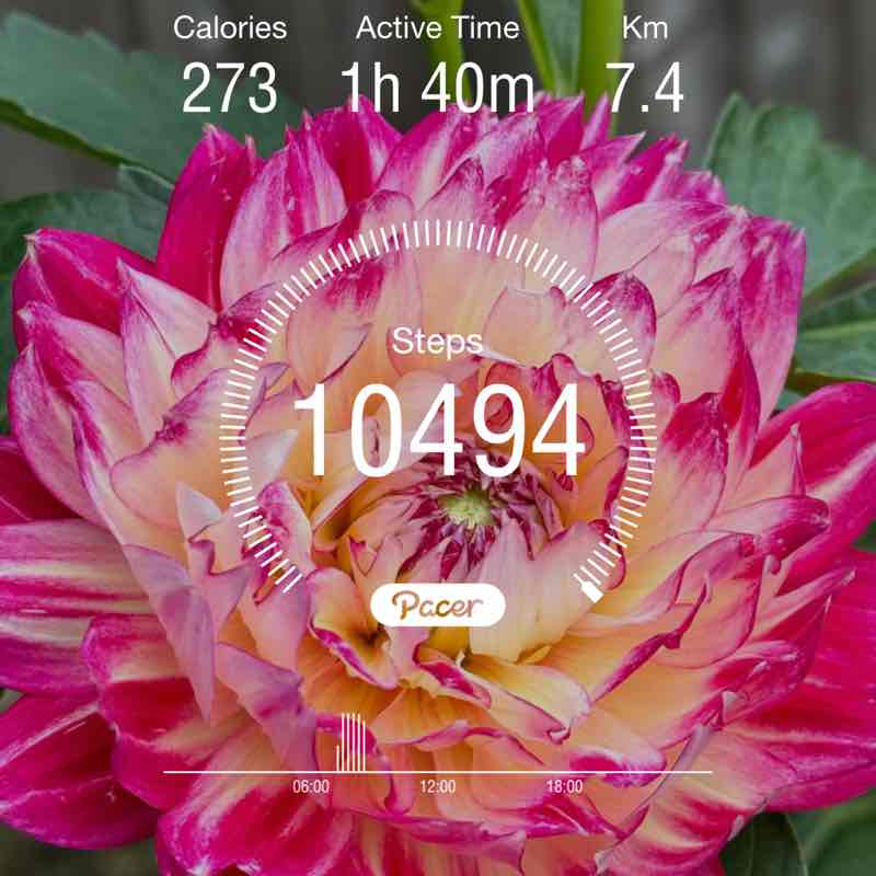 🧕🏻yantie🧕🏻 post 1