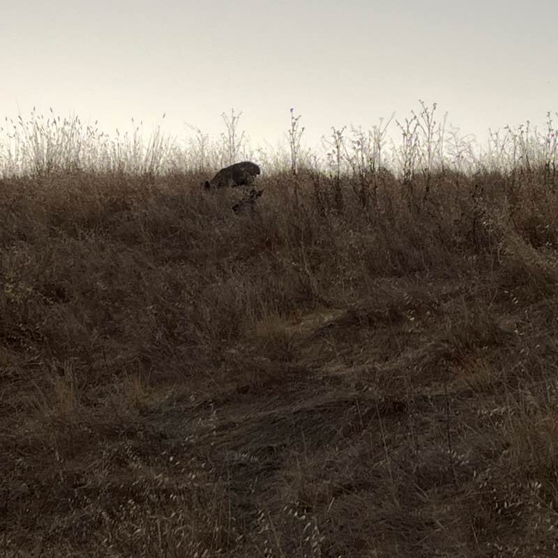 rafay.khawaja post 1