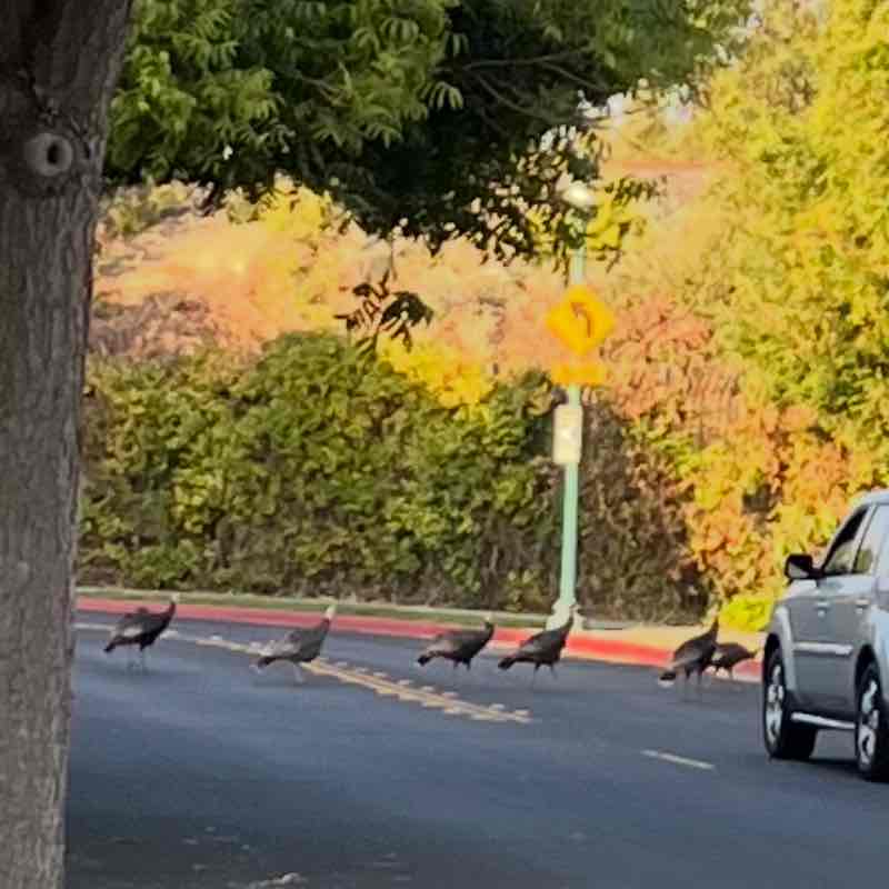 rafay.khawaja post 1