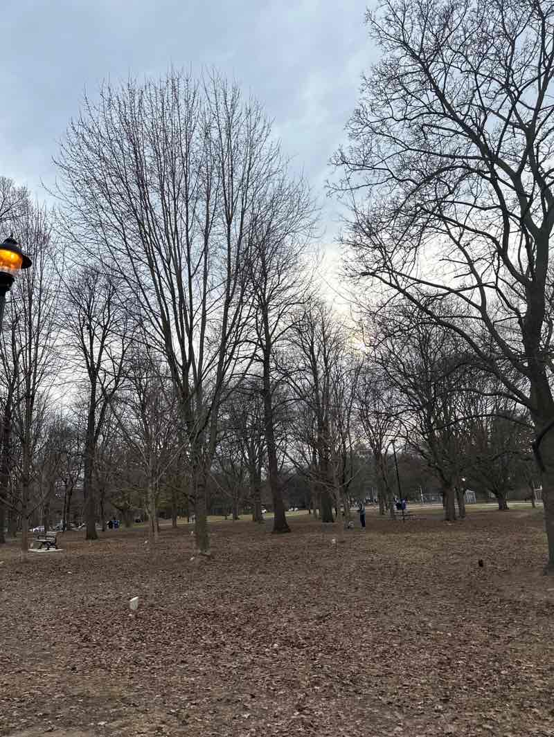 walking near me in Oriole Park in spring