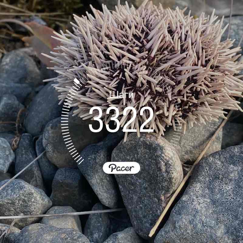 Татьяна post 1