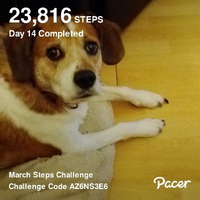 jonnywilkinson655@gmail.com post 1