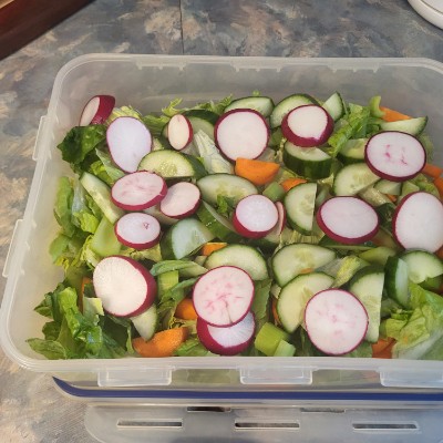 beaglesbest 💕💕🐕 post 3