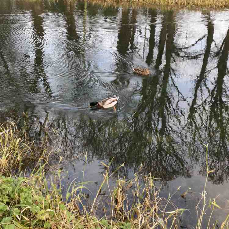 Jacinta🇮🇪☘️☘️☘️ post 2