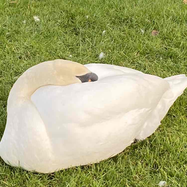 Jacinta🇮🇪☘️☘️☘️ post 3