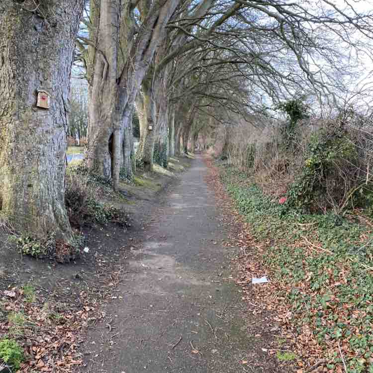 Jacinta🇮🇪☘️☘️☘️ post 2