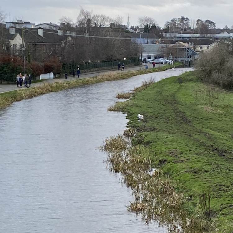 Jacinta🇮🇪☘️☘️☘️ post 3