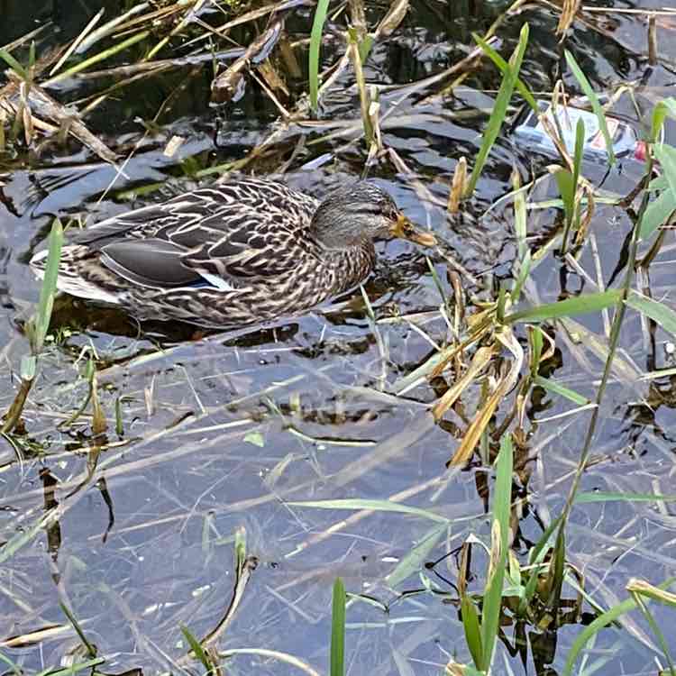 Jacinta🇮🇪☘️☘️☘️ post 2