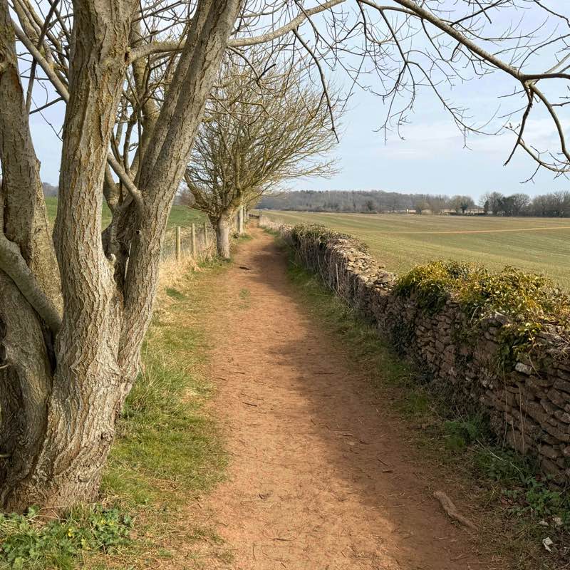 Moira R, Wiltshire 🇬🇧 🇸🇪 😎 icon