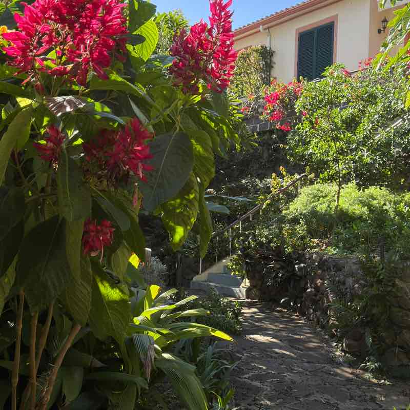 Autumn Walking Moira R, Wiltshire 🇬🇧 🇸🇪 😎 post image