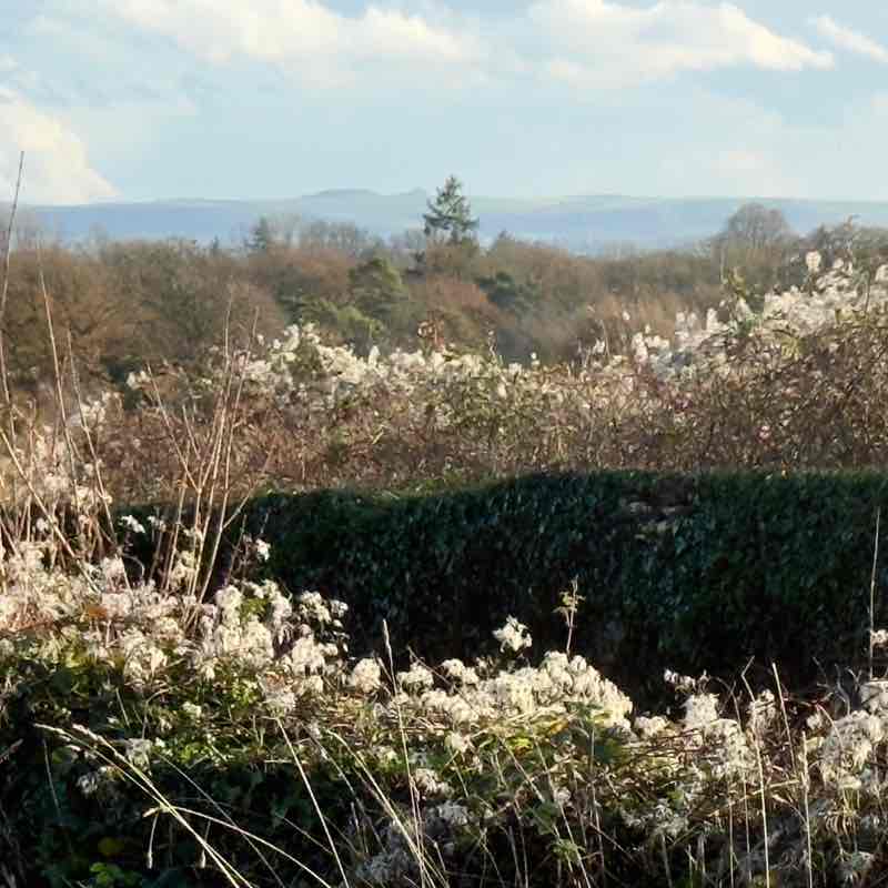 Happy laughing timesππππΊ Moira R, Wiltshire π¬π§ πΈπͺ π post image