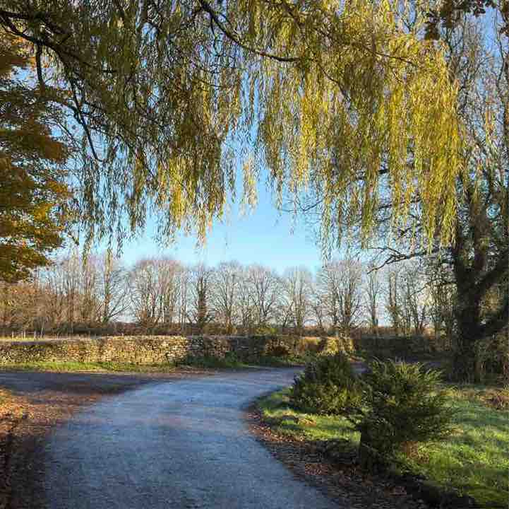 Happy laughing timesππππΊ Moira R, Wiltshire π¬π§ πΈπͺ π post image