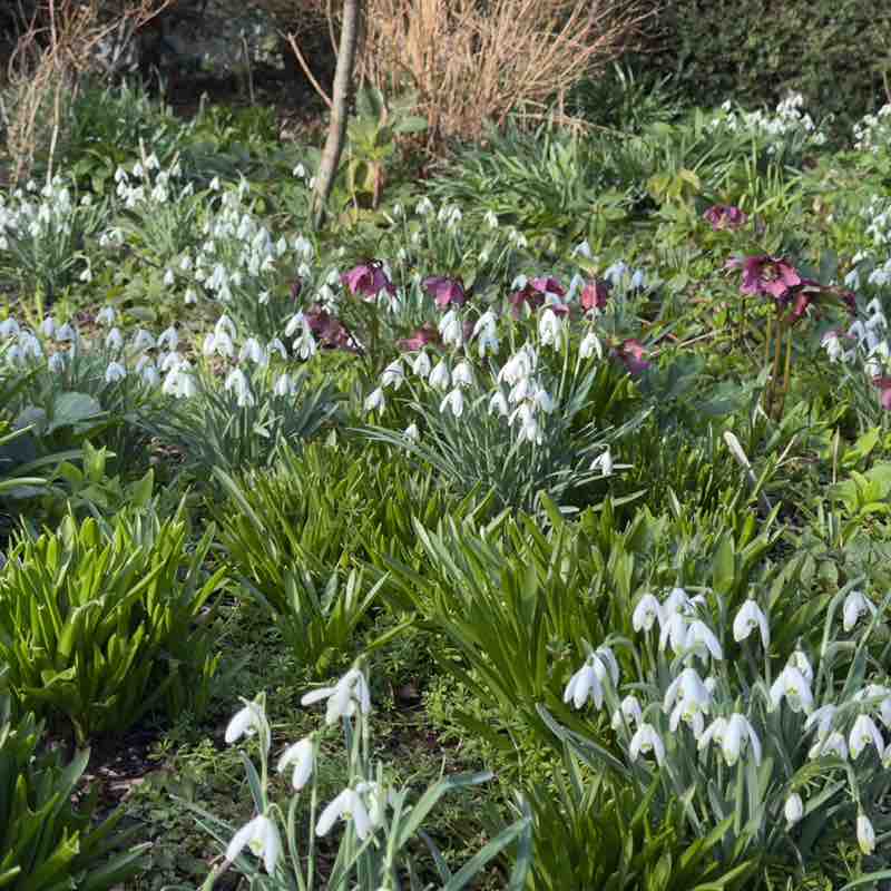 Moira R, Wiltshire 🇬🇧 🇸🇪 😎 post 1