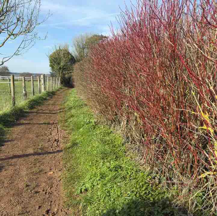 Moira R, Wiltshire 🇬🇧 🇸🇪 😎 post 1