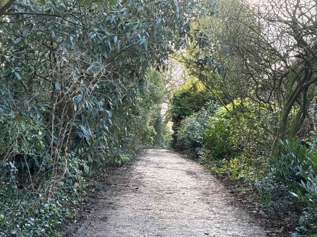 walking near me in Hazelbury Manor in winter
