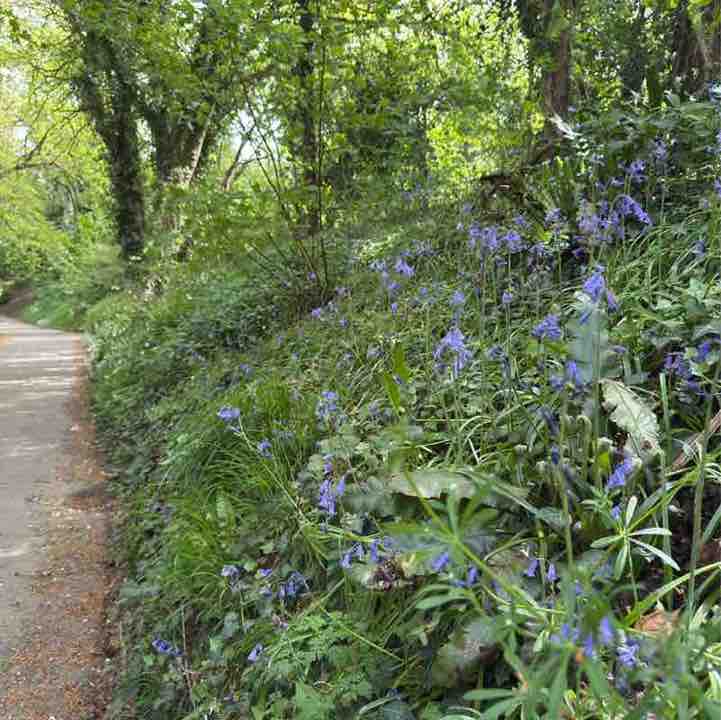 Moira R, Wiltshire 🇬🇧 🇸🇪 😎 post 3