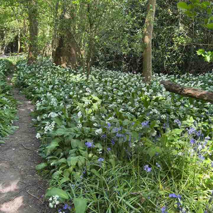Moira R, Wiltshire 🇬🇧 🇸🇪 😎 post 2