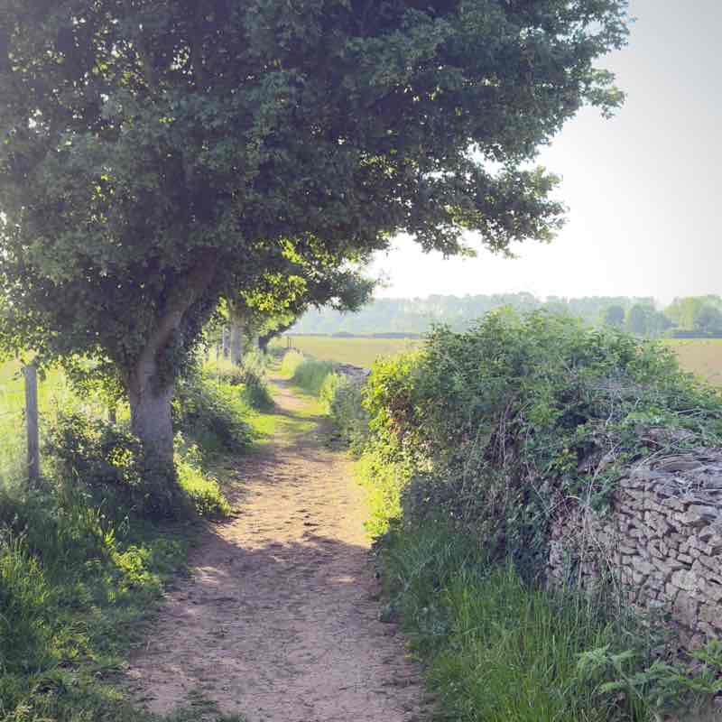 Moira R, Wiltshire 🇬🇧 🇸🇪 😎 post 1