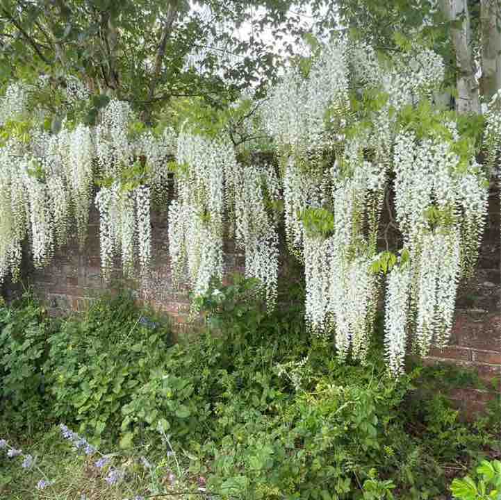Moira R, Wiltshire 🇬🇧 🇸🇪 😎 post 2