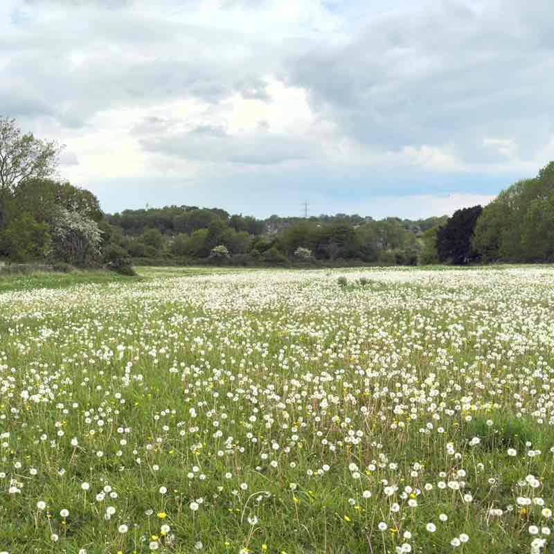 Moira R, Wiltshire 🇬🇧 🇸🇪 😎 post 1