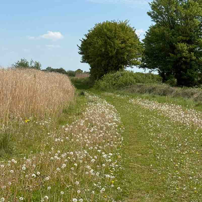 Moira R, Wiltshire 🇬🇧 🇸🇪 😎 post 2