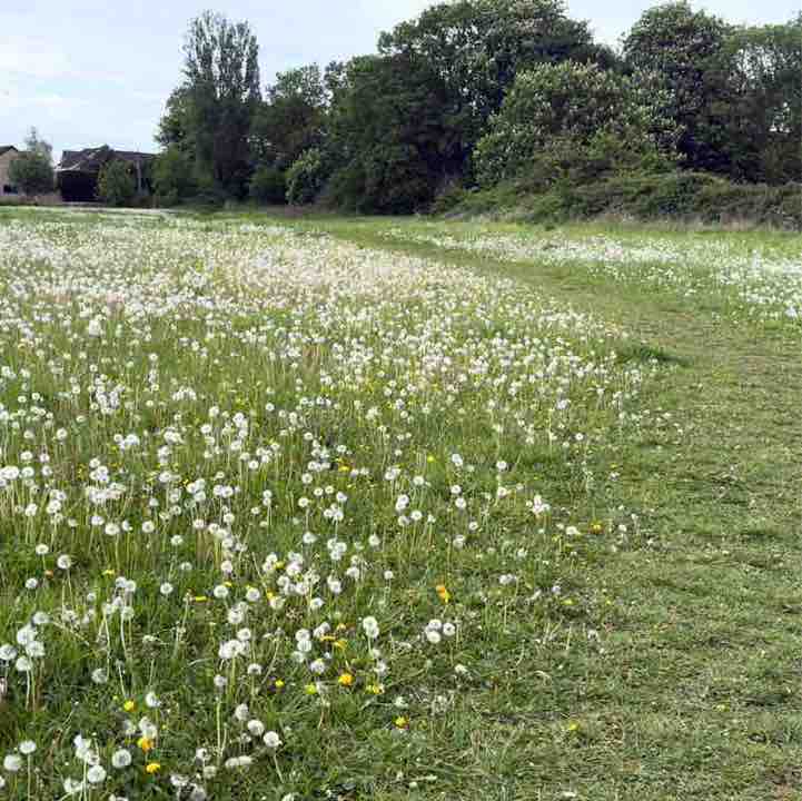 Moira R, Wiltshire 🇬🇧 🇸🇪 😎 post 2