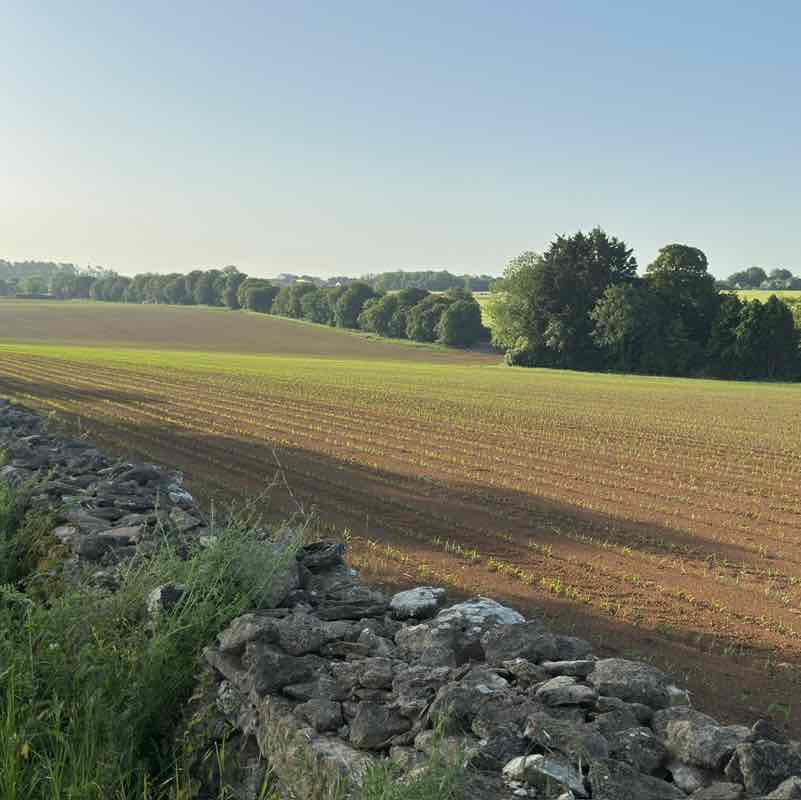 Moira R, Wiltshire 🇬🇧 🇸🇪 😎 post 2
