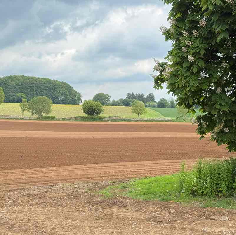 Moira R, Wiltshire 🇬🇧 🇸🇪 😎 post 1