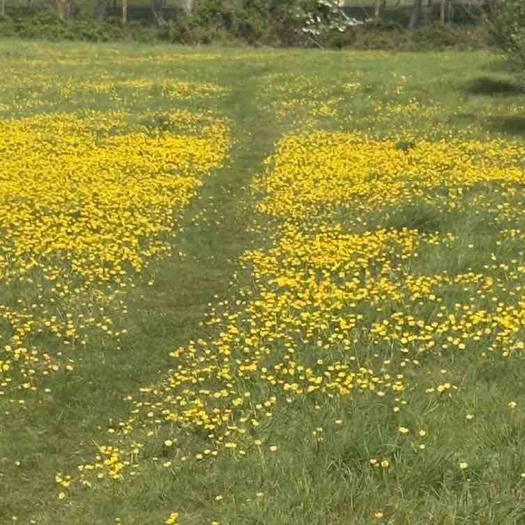 Moira R, Wiltshire 🇬🇧 🇸🇪 😎 post 3