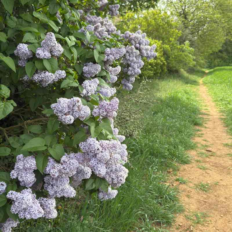 Moira R, Wiltshire 🇬🇧 🇸🇪 😎 post 1