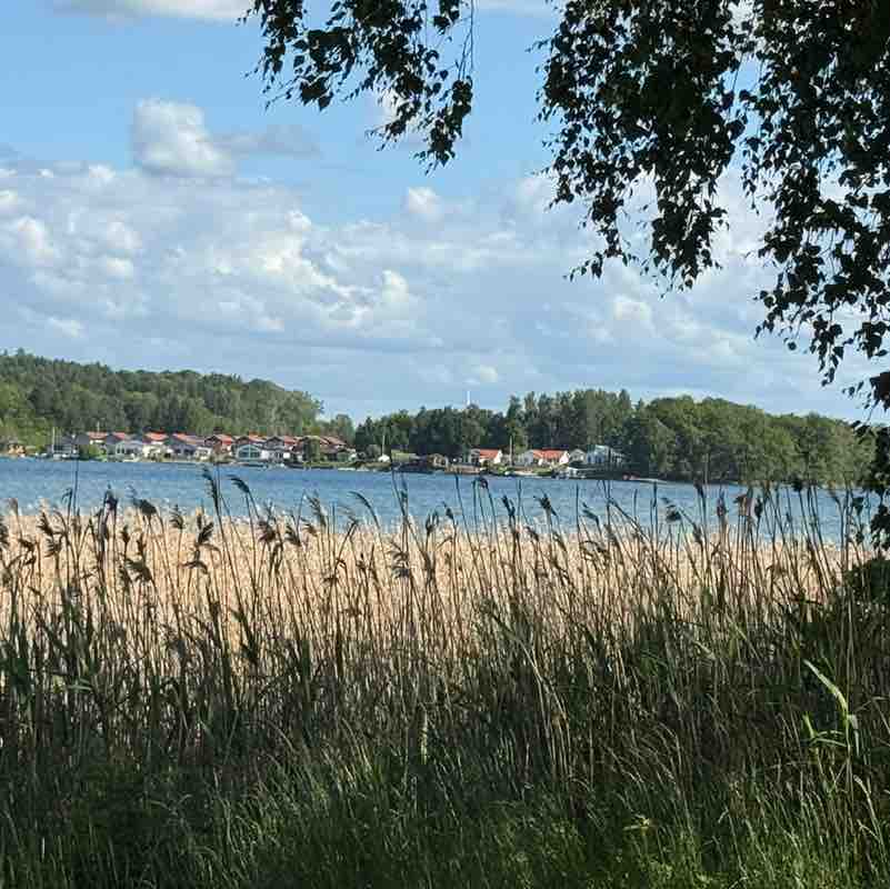 Moira R, Wiltshire 🇬🇧 🇸🇪 😎 post 2