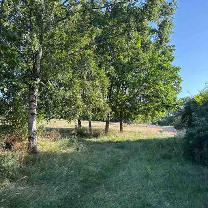 Moira R, Wiltshire 🇬🇧 🇸🇪 😎 post 1