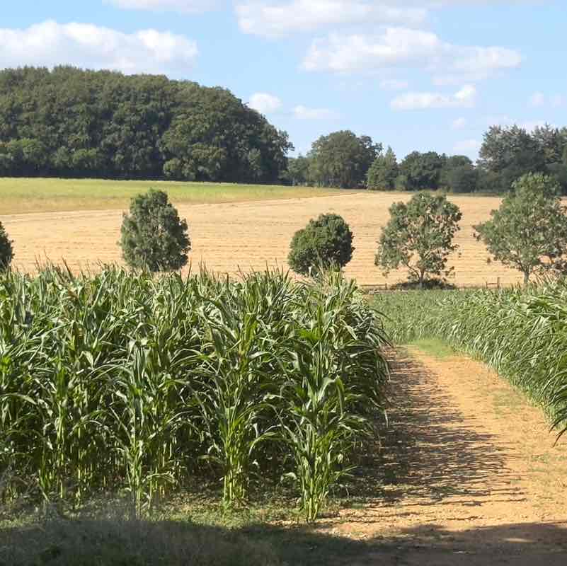 UK π¬π§ Walkers Moira R, Wiltshire π¬π§ πΈπͺ π post image