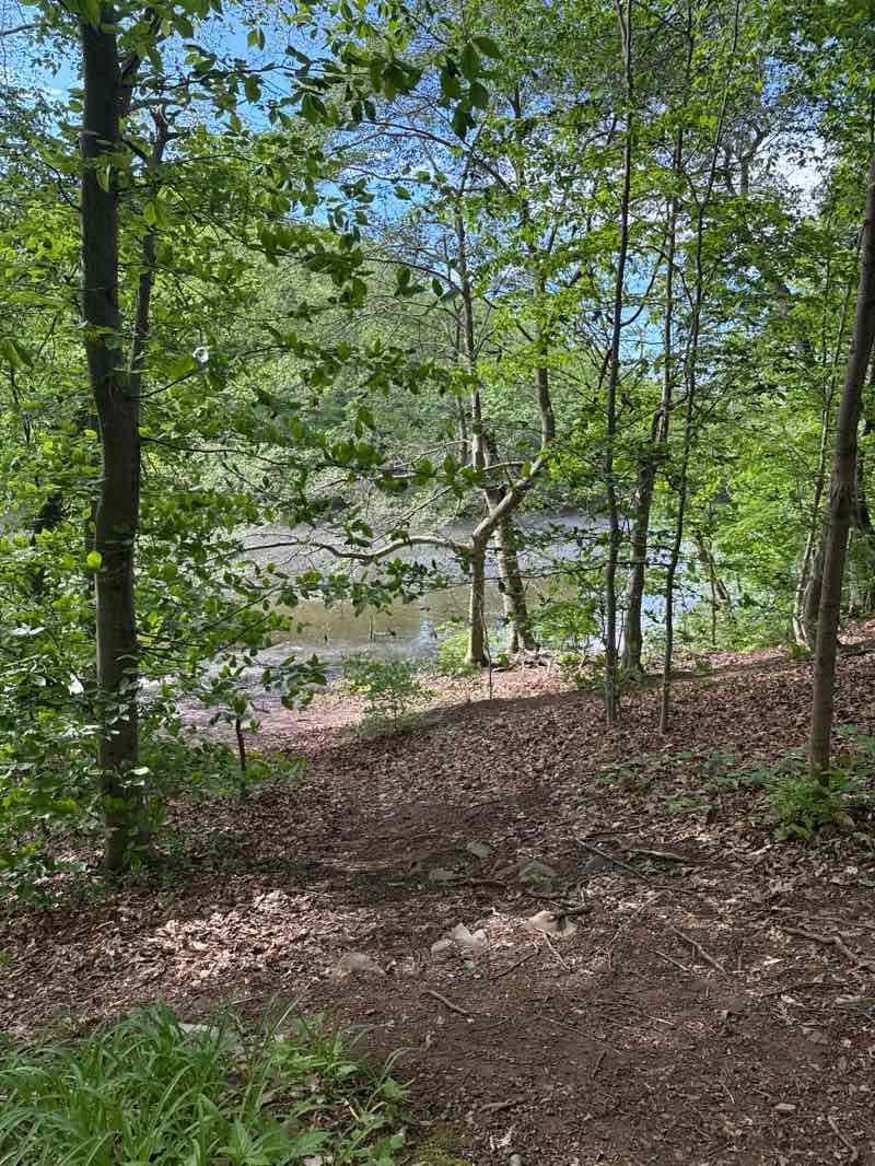 walking near me in Seeley's Pond Picnic Grounds in spring