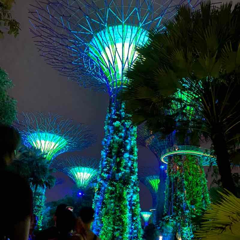 xiaochen gogogo xiaochen gogogo post image