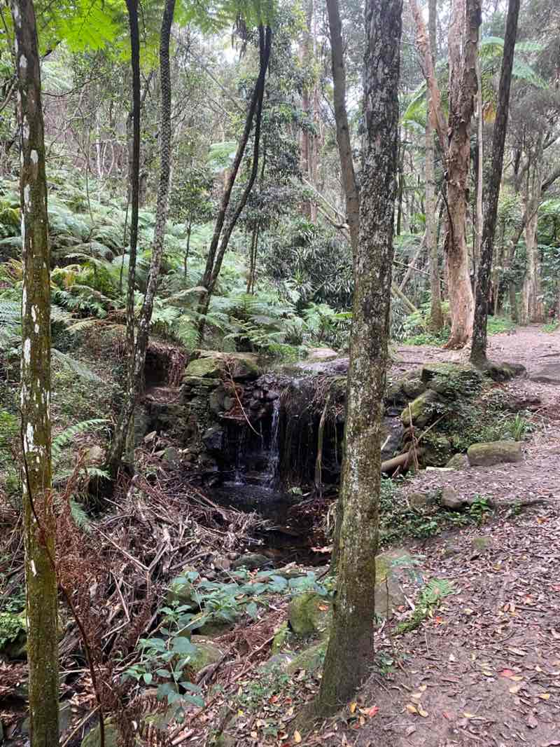 walking near me in Cooper Park in summer