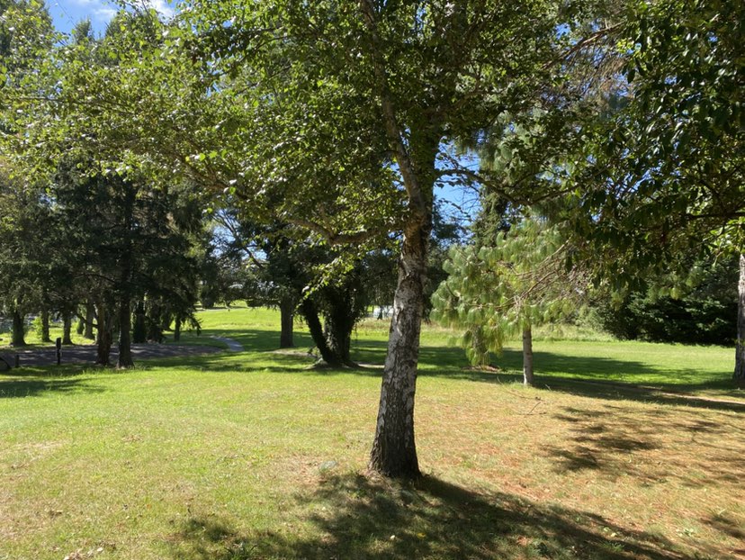 walking near me in The Common in summer