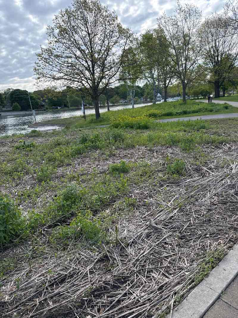 walking near me in Mount Saint Mary Park in spring