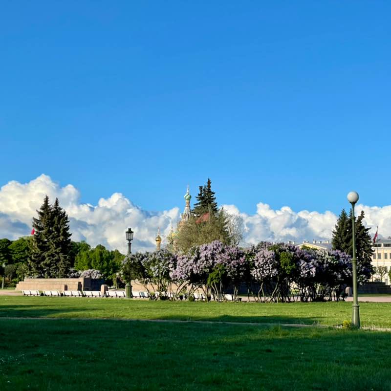 🍀 Lesya 🍀 post 3