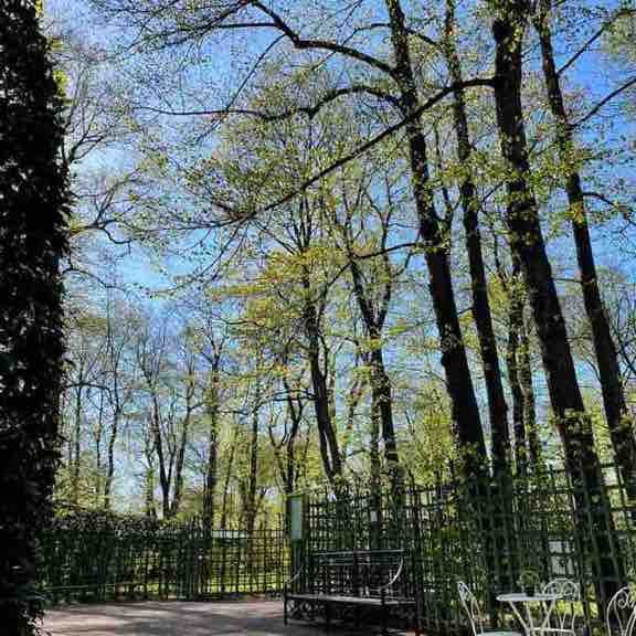 🍀 Lesya 🍀 post 3